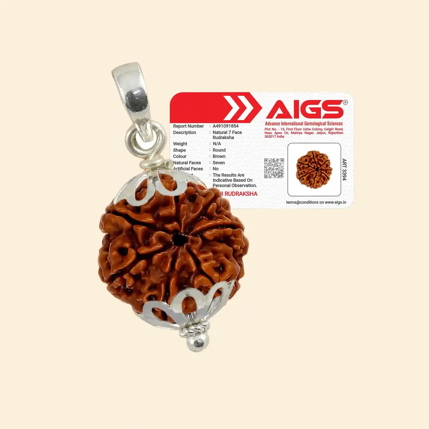 5 Mukhi Rudraksha Bracelet view 3